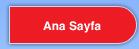 Ana Sayfa